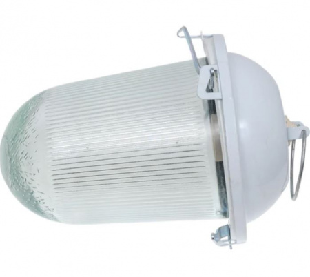 Светильник НСП-02-100-001 без решетки окрашенный IP52 ЭЛЕКТ Т0000002678