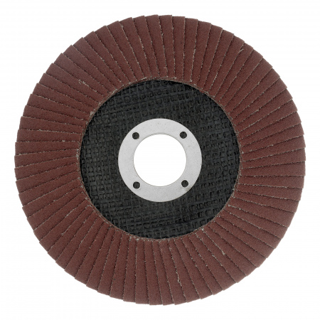 74048 Круг лепестковый торцевой, P 120, 125 х 22.2 мм Matrix 