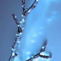 Гирлянда Нить, холодный свет, 50 м, 500 microLED, IP44, 220В ENIN-2000W ЭРА Б0060429