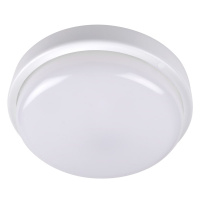 Светильник светодиодный влагозащищенный ДБП-8Вт 6500К 600Лм IP65  Jazzway JazzWay 5032262