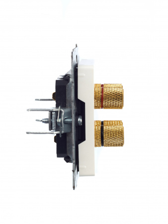 BRITE Аудиорозетка 4 поста РА10-БрЖ жемчуг IEK BR-S40-K36