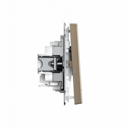 ARTGALLERY 2-клавишный ВЫКЛЮЧАТЕЛЬ с подсветкой, сх.5а, 10АХ, механизм, быстрозажимные клеммы, ШАМПАНЬ Systeme Electric GAL000553S