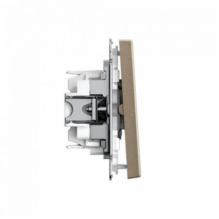 ARTGALLERY 2-клавишный ПЕРЕКЛЮЧАТЕЛЬ, 10АХ, механизм, быстрозажимные клеммы, ШАМПАНЬ Systeme Electric GAL000565S