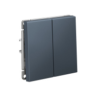 ARTGALLERY 2-клавишный ПЕРЕКЛЮЧАТЕЛЬ, 10АХ, механизм, быстрозажимные клеммы, ГРИФЕЛЬ Systeme Electric GAL000765S