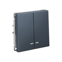 ARTGALLERY 2-клавишный ВЫКЛЮЧАТЕЛЬ с подсветкой, сх.5а, 10АХ, механизм, быстрозажимные клеммы, ГРИФЕЛЬ Systeme Electric GAL000753S