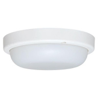 Светильник светодиодный ЖКХ круг ДПО-1003 12Вт 4000K IP65 LUMA EKF BKL-1003-R-12-4000