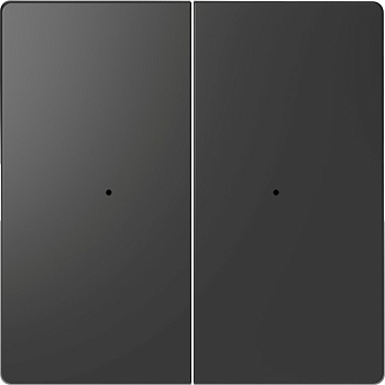Клавиша D-Life PlusLink 2-ная без символов антрацит SD Schneider Electric MTN5220-6034