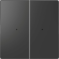 Клавиша D-Life PlusLink 2-ная без символов антрацит SD Schneider Electric MTN5220-6034