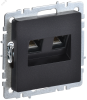 BRITE Розетка двойная RJ11+RJ45 кат.5E РК/Т12-БрЧ черный IEK BR-KT20-O-1-K02