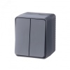 AtlasDesign Profi54 выключатель двухклавишный IP54 10 АХ, АНТРАЦИТ, Россия Systeme Electric ATN544051