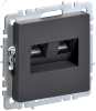 BRITE Розетка компьютерная двойная RJ45 кат.5E РК10-2-БрГ графит IEK BR-K20-1-K53
