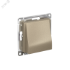 Вывод кабеля ATLASDESIGN механизм шампань Systeme Electric ATN000599