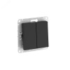 ATLASDESIGN AQUA 2-клавишный ВЫКЛЮЧАТЕЛЬ IP44, с  х.5, 10АХ, быстрозажимные клеммы, КАРБОН Systeme Electric ATN441051S