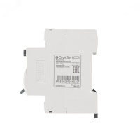 Выключатель дифференциального тока (ВДТ) 40А 2P 300мА Тип-AC 230В City9 Set Systeme Electric C9R66240