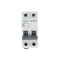 Выключатель автоматический двухполюсный 25А B 4.5kA 230В City9 Set Systeme Electric C9F14225