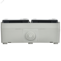 ФОРС Розетка двойная наружная с заземлением с крышкой IP54 IEK ERS22-K03-16-54-DC