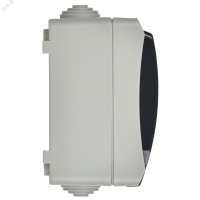 ФОРС Розетка двойная наружная с заземлением с крышкой IP54 IEK ERS22-K03-16-54-DC