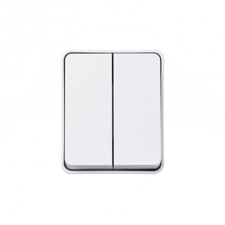 ATN540151 AtlasDesign Profi54 выключатель двухклавишный IP54 10 АХ, БЕЛЫЙ, Россия Systeme Electric 