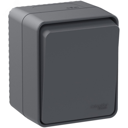 ATN544061 AtlasDesign Profi54 переключатель одноклавишный IP54 10 АХ, АНТРАЦИТ, Россия Systeme Electric 