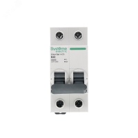 Выключатель автоматический двухполюсный 40А B 4.5kA 230В City9 Set Systeme Electric C9F14240