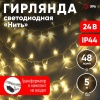 Б0041904 ENON-5B Гирлянда LED Нить 5 м теплый свет, 24V, IP44 (80/1920) необходим трансформатор Б0041911 приобретается отдельно ЭРА 