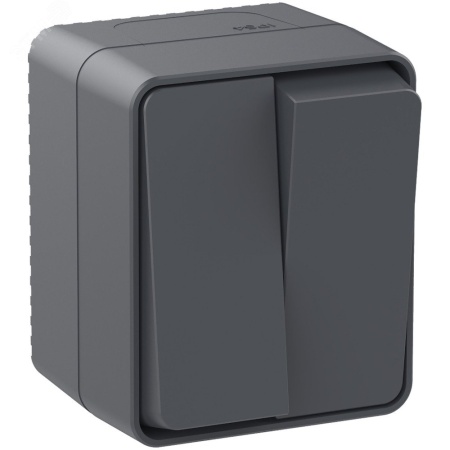 ATN544051 AtlasDesign Profi54 выключатель двухклавишный IP54 10 АХ, АНТРАЦИТ, Россия Systeme Electric 