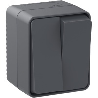AtlasDesign Profi54 выключатель двухклавишный IP54 10 АХ, АНТРАЦИТ, Россия Systeme Electric ATN544051