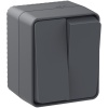 ATN544051 AtlasDesign Profi54 выключатель двухклавишный IP54 10 АХ, АНТРАЦИТ, Россия Systeme Electric 
