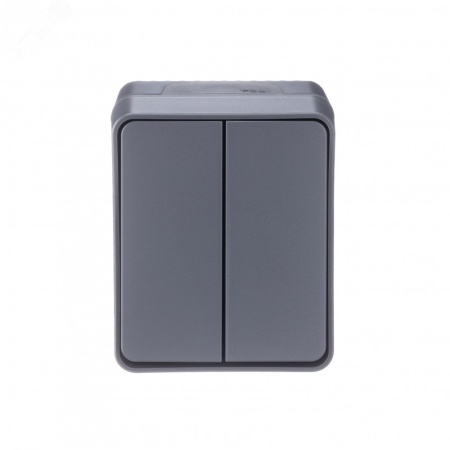 ATN544051 AtlasDesign Profi54 выключатель двухклавишный IP54 10 АХ, АНТРАЦИТ, Россия Systeme Electric 