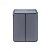 AtlasDesign Profi54 выключатель двухклавишный IP54 10 АХ, АНТРАЦИТ, Россия Systeme Electric ATN544051