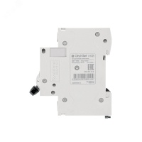 Выключатель автоматический двухполюсный 6А С 4.5kA 230В City9 Set Systeme Electric C9F34206