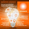4008321959843 Лампа линейная люминесцентная ЛЛ 58вт L 58/640 G13 белая Osram LEDVANCE 