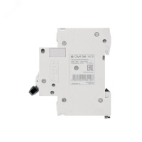 Выключатель автоматический двухполюсный 10А С 4.5kA 230В City9 Set Systeme Electric C9F34210