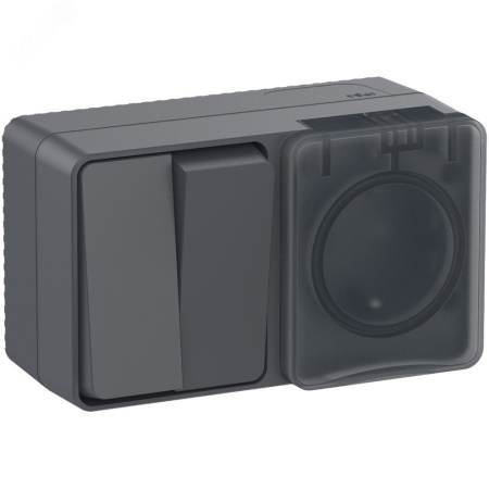 ATN544074 AtlasDesign Profi54 БЛОК: розетка с  заземлением со шторками 16А 250B, выключатель двухклавишный IP54 10А, АНТРАЦИТ, Россия Systeme Electric 