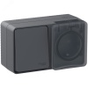 ATN544070 AtlasDesign Profi54 БЛОК:розетка с  заземлением со шторками 16А 250B, выключатель одноклавишный IP54 10А, АНТРАЦИТ, Россия Systeme Electric 