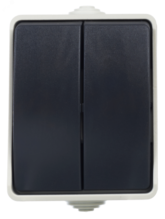 EVS20-K03-10-54-DC ФОРС Выключатель двухклавишный наружный IP54 IEK 