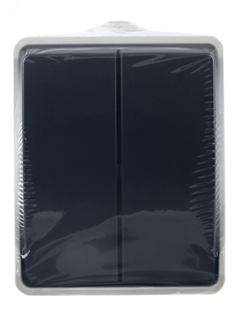 EVS20-K03-10-54-DC ФОРС Выключатель двухклавишный наружный IP54 IEK 