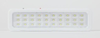 Светильник светодиодный аварийный постоянный DBA-105-0-20 30LED 5ч IP20 (40/1600) ЭРА Б0044398