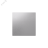 ЗАГЛУШКА ATLASDESIGN АЛЮМИНИЙ Systeme Electric ATN000309