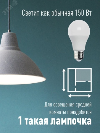 Лампа светодиодная LED 20Вт 220В Е27 D60х118 6500К холодный A60 Космос LkecLED20wA60E2765