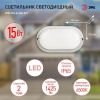 Б0047626 Светильник светодиодный SPB-202-0-65К-015 IP65 15Вт 6500К ОВАЛ (40/840) ЭРА 