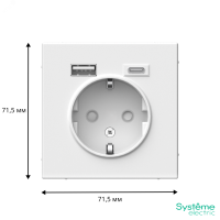 ARTGALLERY розетка 16А с 2 USB A+C, 5В/2.4А/3.0А. 2х5В/1.5А. механизм, лотос Systeme Electric GAL001332
