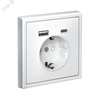 ARTGALLERY розетка 16А с 2 USB A+C, 5В/2.4А/3.0А. 2х5В/1.5А. механизм, лотос Systeme Electric GAL001332