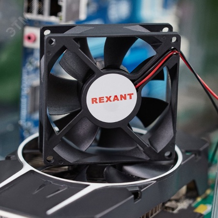 Вентилятор RX 8025MS 24VDC, REXANT 72-4080