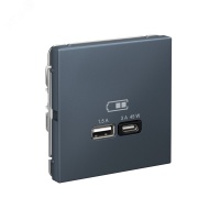 ARTGALLERY USB розетка A + тип-C 45Вт высокоскор.заряд. QC, PD, механизм, грифель Systeme Electric GAL000729