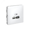 ARTGALLERY USB розетка A + тип-C 45Вт высокоскор.заряд. QC, PD, механизм, белый Systeme Electric GAL000129