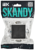 SKANDY Выключатель жалюзи 10А SK-V12T титан IEK SK-V15-0-10-K48