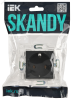 SK-R11-16-K48 SKANDY Розетка с заземлением без защитных шторок 16А SK-R05T титан IEK 