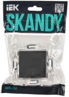 SKANDY Выключатель 2-клавишный 10А SK-V04T титан IEK SK-V20-0-10-K48