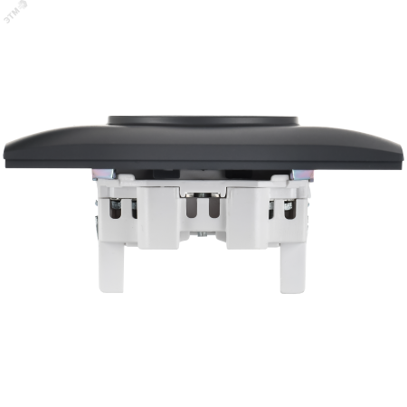 SK-R23-10-K48-F SKANDY Розетка 2-местная без заземления с защитными шторками 10А в сборе SK-R09T титан IEK 
